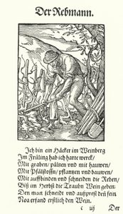 De wijnbouwer