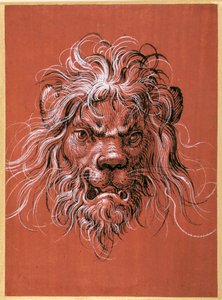 Leeuwenkop