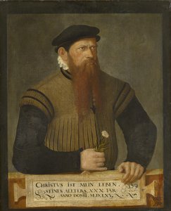 Portret van een bebaarde man, 1565 door Jost Amman