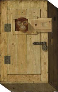 Aap in een houten doos