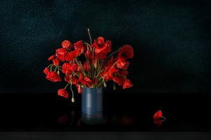 Indrukwekkende rode klaprozen door Juan Antonio Palacios