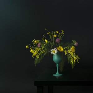 Elegant stilleven met wilde bloemen door Juan Antonio Palacios