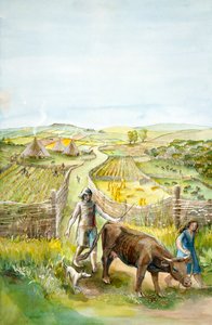 Landelijk Landschap