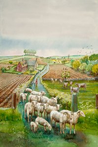 Landelijk landschap