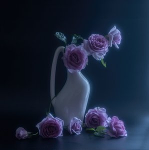  door Judy Tseng