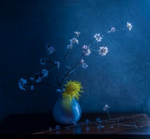  door Judy Tseng