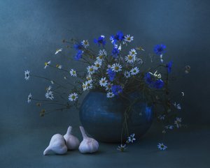  door Judy Tseng