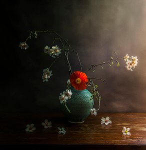  door Judy Tseng