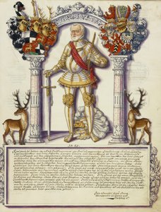 Karel I Hohenzollern door Jörg Ziegler