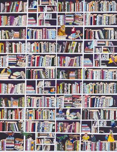 Boekenkasten vol verwondering