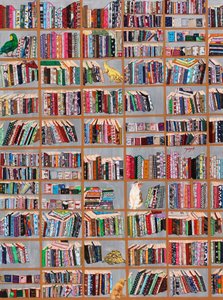 De speelse bibliotheekvrienden
