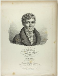 Portret van André-Marie-Constant Duméril