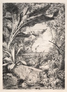 Planten van de kas, 1872