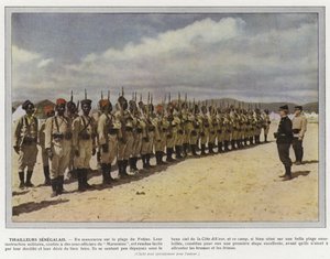 Senegalese scherpschutters