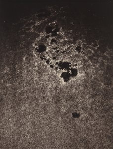 Zonder titel (Studie van het oppervlak van de zon),1893 (foto) door Jules Janssen