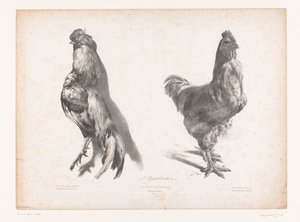 Studie van een dode en een levende kip door Jules Joseph Augustin Laurens