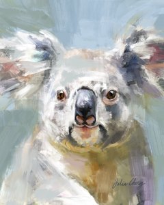 De zachte blik van de koala door Julia Cheney