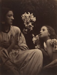 Een Studie door Julia Margaret Cameron