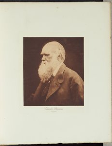 door Julia Margaret Cameron