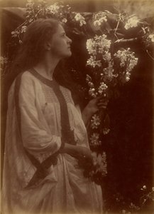 [Lente] door Julia Margaret Cameron