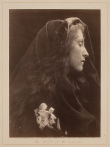  door Julia Margaret Cameron
