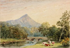 Sugarloaf Hill vanaf Tynnahinch door Julia Swinburne