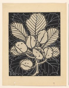 Blad van een kastanje met vruchten door Julie de Graag (signed by artist)