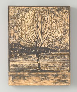 Kale boom door Julie de Graag (signed by artist)