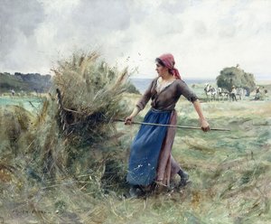 Boer en Hooi