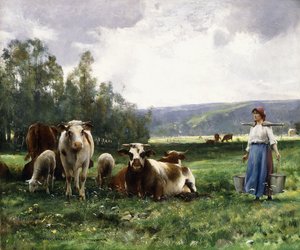 De koeienweide