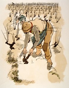 Humoristische wijnillustratie 1946. Illustratie door Julien Pavil