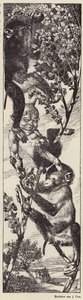 Apen plukken fruit in een boom (litho) door Julius Diez