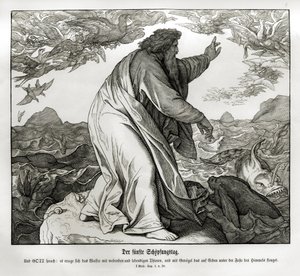 Vijfde dag van de schepping, Genesis door Julius Schnorr von Carolsfeld
