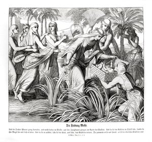 Mozes wordt ontdekt in het riet, Exodus