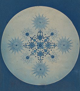 Frustules van Diatomeeën, ca. 1870 door Julius Wiesner.