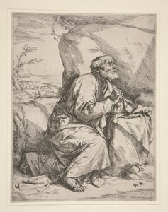 Sint Petrus in boetedoening