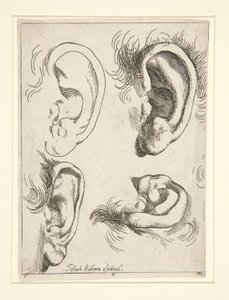 Studies van vier oren door Jusepe de Ribera