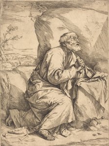 De boetedoening van Sint Petrus
