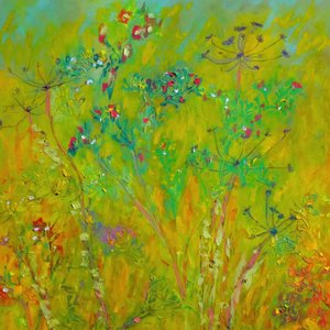 Kleurrijk veld met wilde bloemen