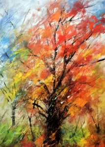 Kleurrijke herfstboom door Justyna Jaszke