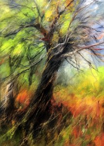 Kleurrijke herfstboom door Justyna Jaszke