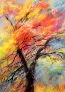 Kleurrijke herfstboom door Justyna Jaszke