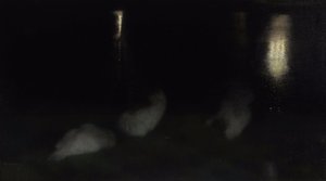 Nocturne. Zwanen in de Saksische Tuin in Warschau bij nacht