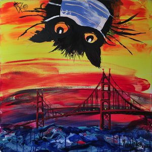 De gemaskerde kat bij zonsondergang in San Francisco