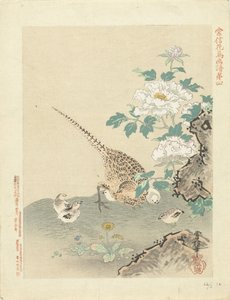 Kwartel met kuikens door Kano Tsunenobu