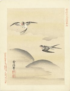 Twee zwaluwen (Bloemen- en vogelschetsen van Kano Tsunenobu) door Kano Tsunenobu