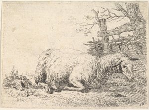 Een schaap liggend met zijn poten onder zijn lichaam naast een houten hek, de scha..., ca. 1655 door Karel Du Jardin