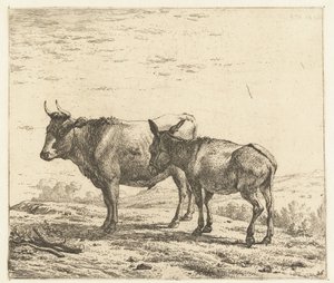 Os en een ezel