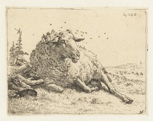 Schaap bij een boomstam door Karel Du Jardin