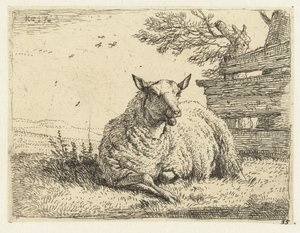 Schaap bij een hek door Karel Du Jardin